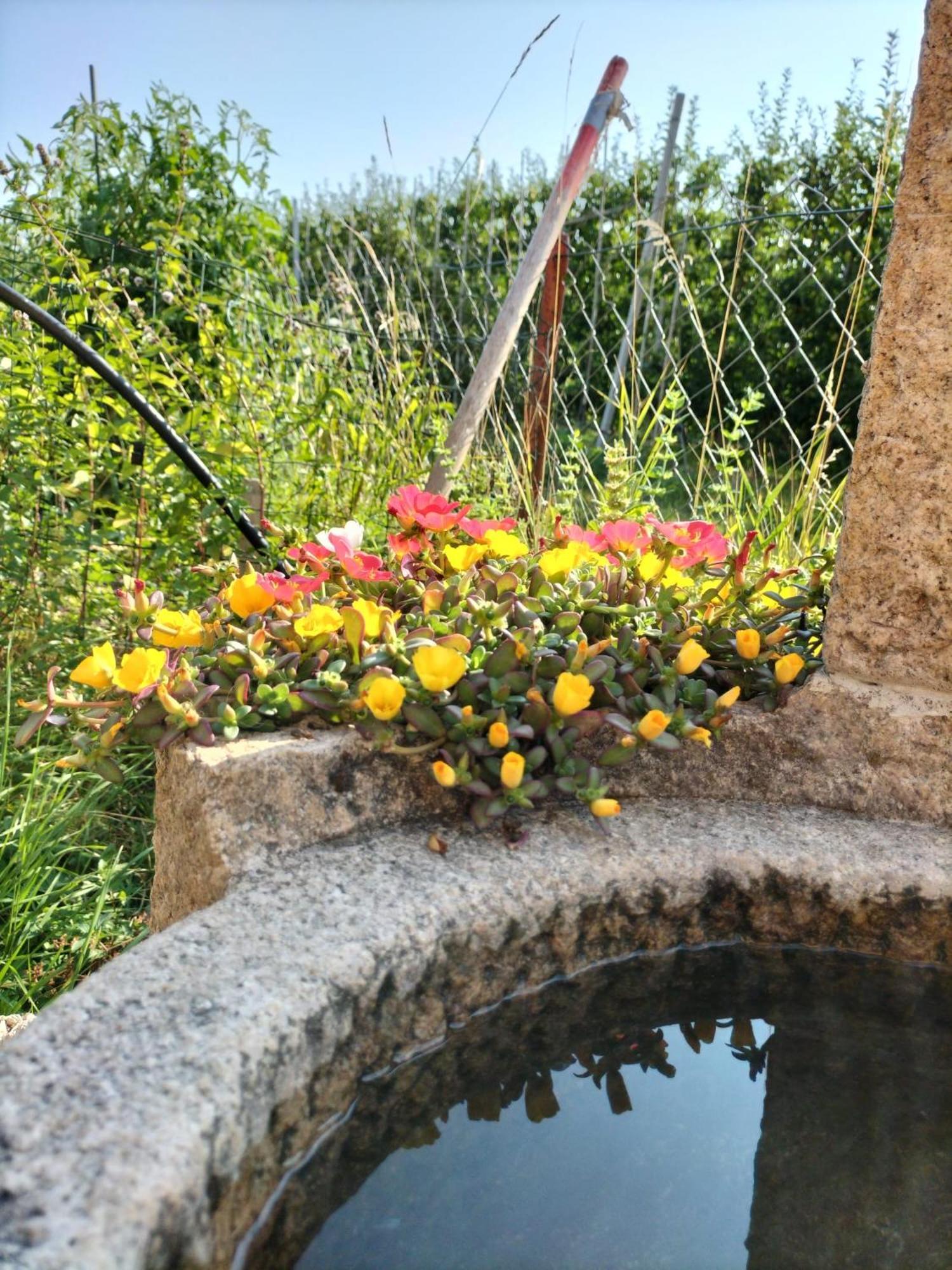 I Girasoli Sanzeno Exterior foto