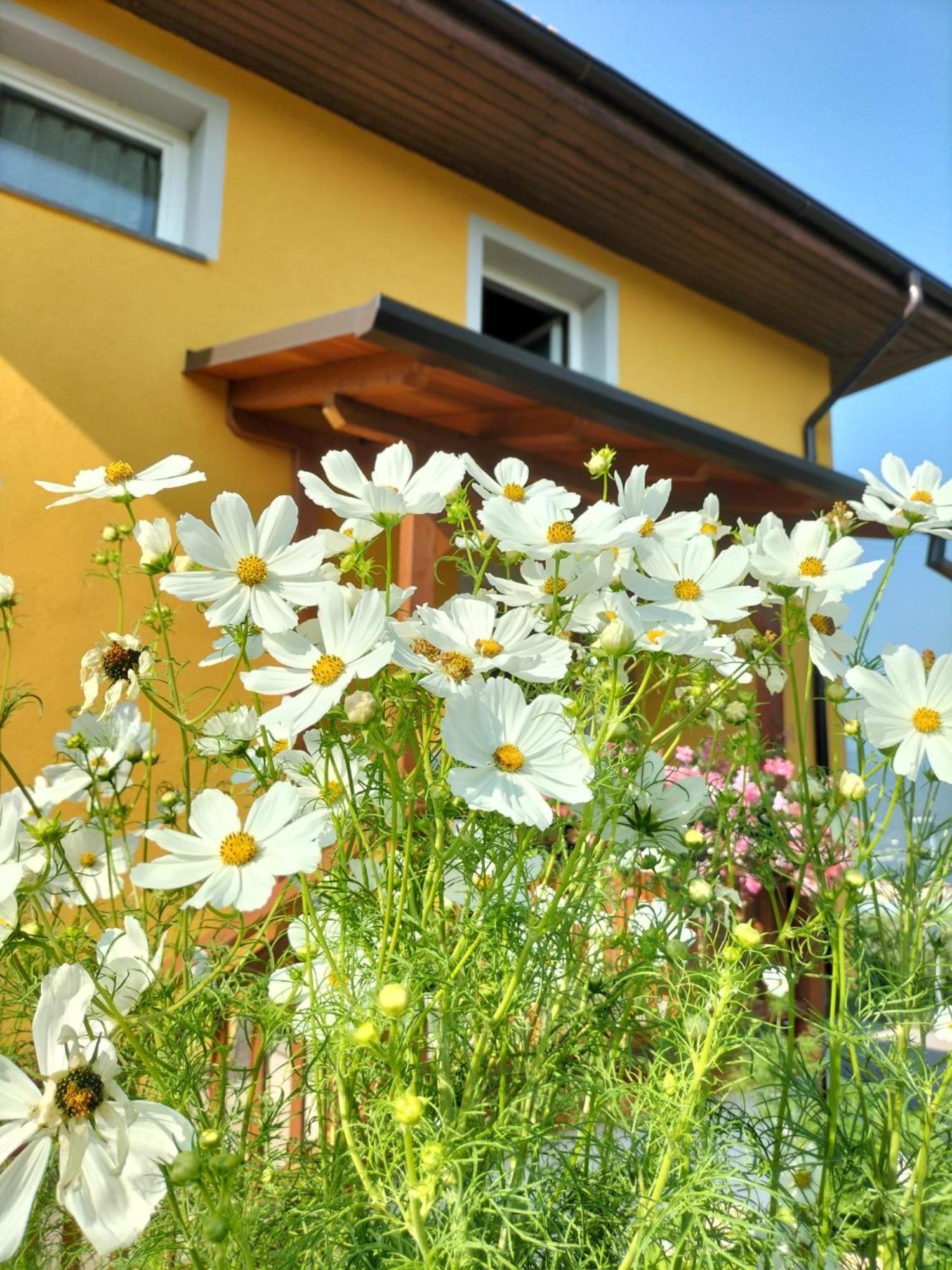 I Girasoli Sanzeno Exterior foto